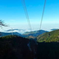 Bildrechte © Claudia Fiand-Marek