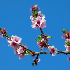 Bildrechte © Claudia Fiand-Marek