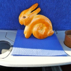 Bildrechte © Claudia Fiand-Marek