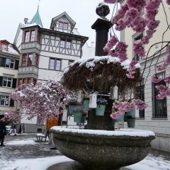 Bildrechte © Claudia Fiand-Marek