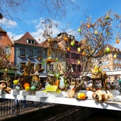 Bildrechte © Claudia Fiand-Marek